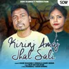 About Kirinj Amaj Jhal Sali Song